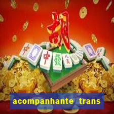 acompanhante trans santos sp